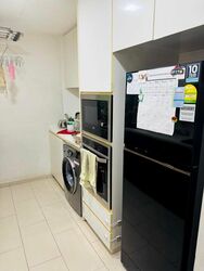 Palm Isles (D17), Condominium #497722421